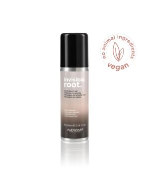 Invisible Ansatz-Farb-Spray Cold Brown