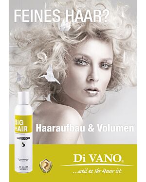 DiVANO.Poster 50 x 70 cm BIG-HAIR